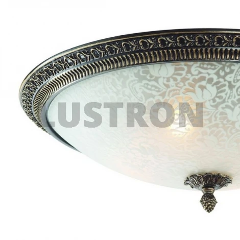 Потолочный светильник ST Luce SL135 SL135.402.04