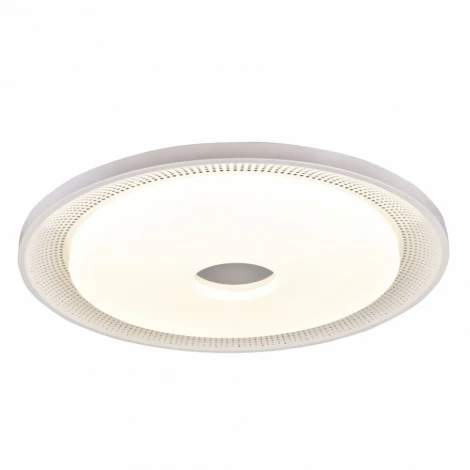 Потолочный светильник F-Promo Dafna 2463-6C