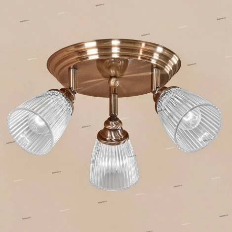 Спот Citilux Виндзор CL539631