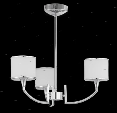 Brizzi 02484 MA02484C/003Ch