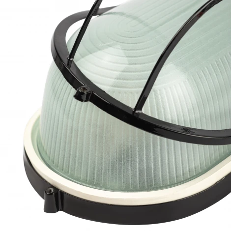 Настенно-потолочный светильник ЭРА НБП 04-100-002 НБП 04-100-002 черный