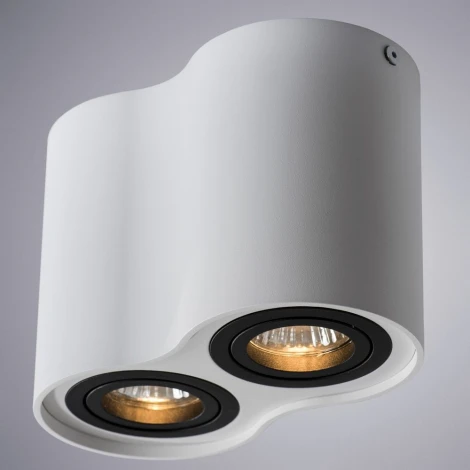 Накладной точечный светильник Arte Lamp Falcon A5644PL-2WH