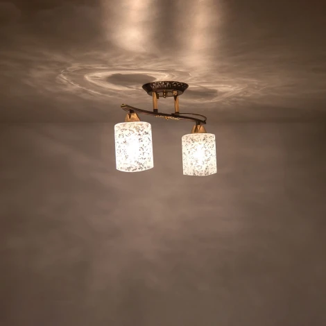 Потолочная люстра Citilux Мотив CL166121
