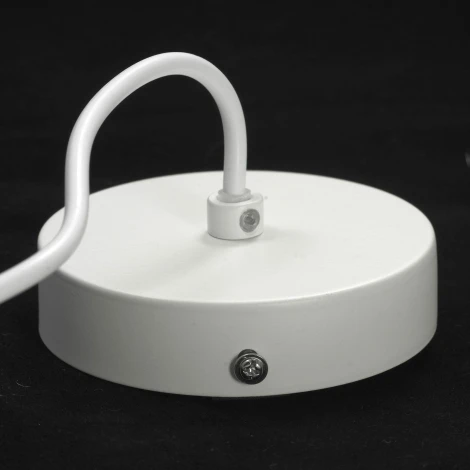 Подвесной светильник Lussole Lgo Subway GRLSP-8135 (220V, на тросе, круглые, IP21)