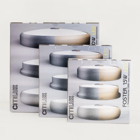 Настенно-потолочный светильник Citilux Фостер-3 CL706310