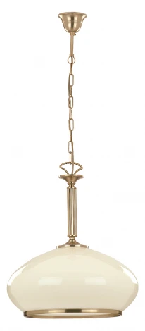 Подвесной светильник Alfa Astoria 1321