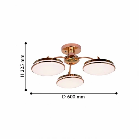 Потолочная люстра F-Promo Ledante 2473-3P