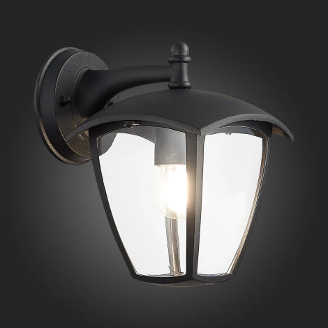 Настенный фонарь уличный ST Luce Sivino SL081.411.01