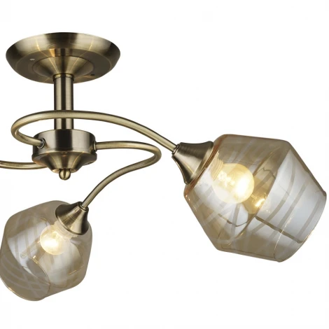 Потолочная люстра Wedo Light Valya 66437.01.05.03