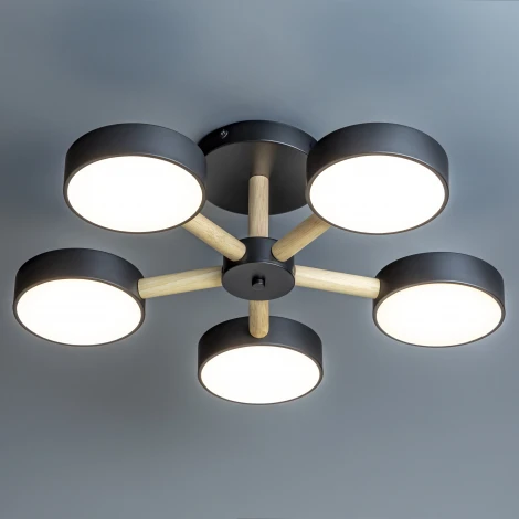 Потолочная люстра светодиодная на штанге с ДУ Ritter Scandia 51592 4