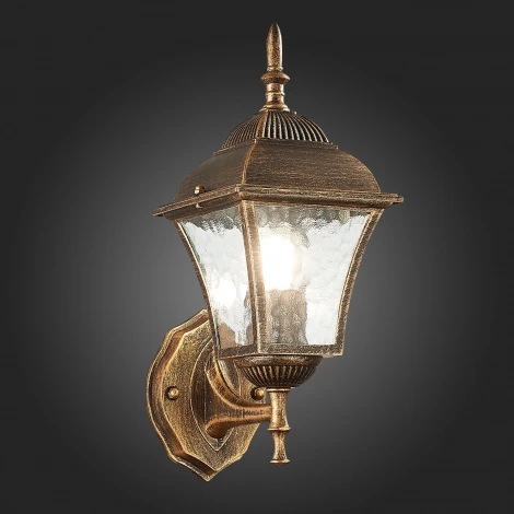 Настенный фонарь уличный ST Luce Domenico SL082.201.01