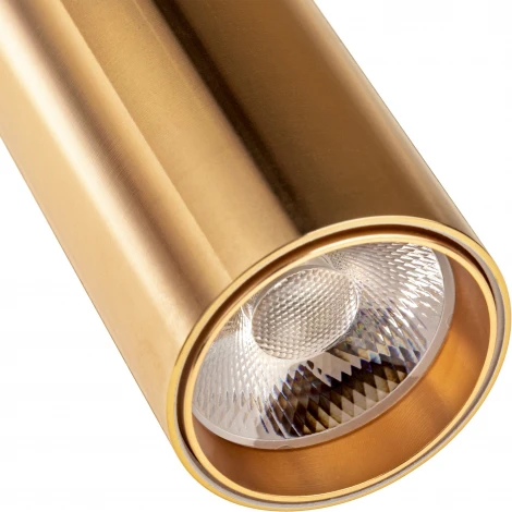 Трековый светильник однофазный 220V Ritter Artline 59710 4