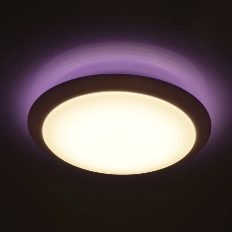 Потолочный светильник MW-Light Ривз 674014301