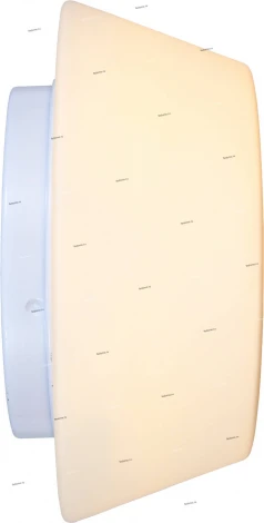 Потолочный светильник ST Luce Adatto SL296.502.02