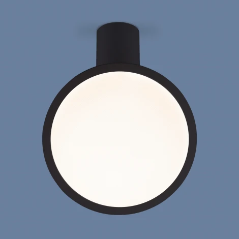 Спот светодиодный Elektrostandard Brain DLS029 a047772 (220V, круглые)