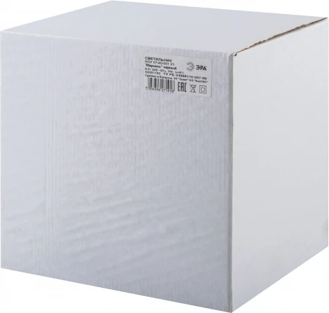 Уличный светильник подвесной ЭРА НСУ 07-40-001 «Марсель» черный (220V, на цепи, IP44)