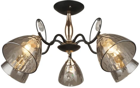 Потолочная люстра Wedo Light Montello 66669.01.69.05