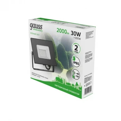 Прожектор уличный Gauss Elementary 613100630