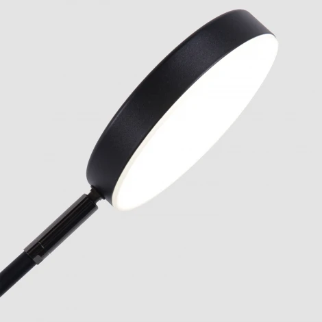 Настольная лампа Favourite Vorago 4572-1T (LED, 220V)