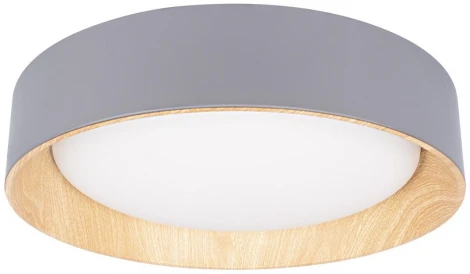 Потолочный светильник круглый светодиодный Loft It Coin 10202 Grey (220V, круглые)