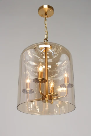 Подвесная люстра Aployt Polin APL.603.06.06