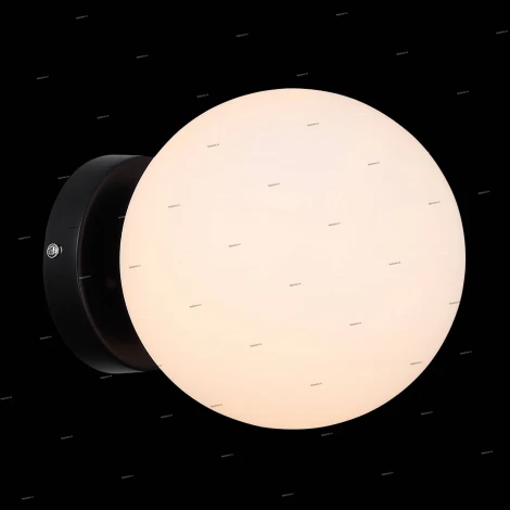 Настенно-потолочный светильник ST Luce Acini SL717.401.01