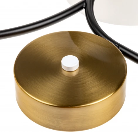 Потолочная люстра светодиодная на штанге с ДУ Ritter Scandia 51599 3