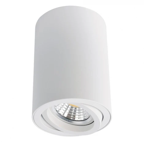 Накладной точечный светильник Arte Lamp Sentry A1560PL-1WH (220V)