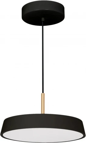 Светильник SP-ELEGANT-R300-17W Warm3000 (BK, 120 deg, 230V) (Arlight, IP20 Металл) 033921(1)