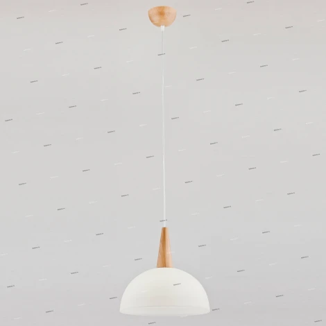 Подвесной светильник Alfa Anja 9648(80400)