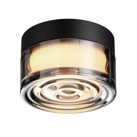 Настенно-потолочный светильник уличный светодиодный Odeon Light Ronda 7157/6CL дымчатый/стекло/поликарбонат IP65 LED 6W 2200/2700/3000K 220V