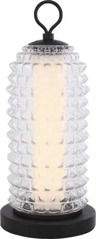 Настольная лампа ST Luce Saguaro SL6144.404.01 черный/прозрачный LED 1*12W 4000K (220V)