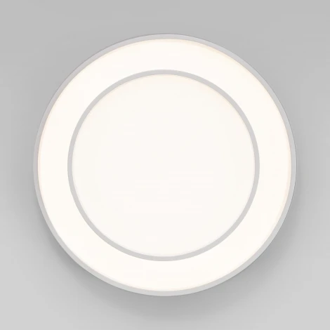 Потолочный светильник круглый светодиодный с пультом Eurosvet Force 90330/2 белый (регулировка яркости, 220V, круглые)