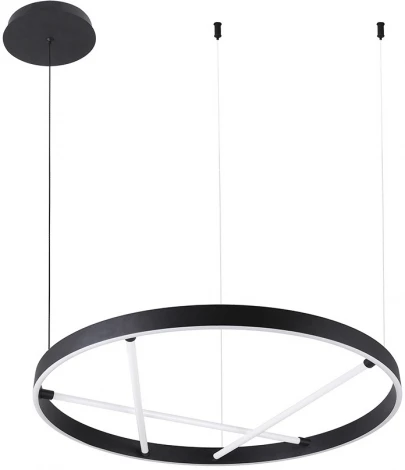 Подвесной светильник Arte Lamp Ricco A1874SP-32BK (LED, 220V, на тросе, круглые)