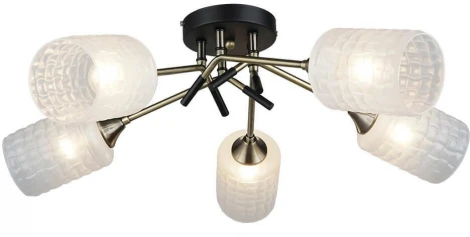 Потолочная люстра Wedo Light Noverate 66673.01.37.05