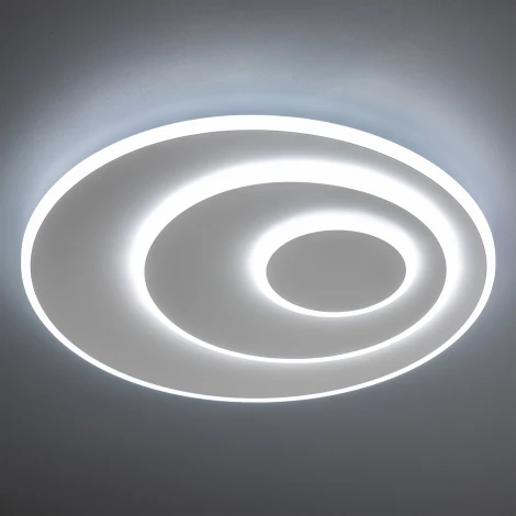 Потолочная люстра светодиодная с ДУ Ritter Galassia 51581 8