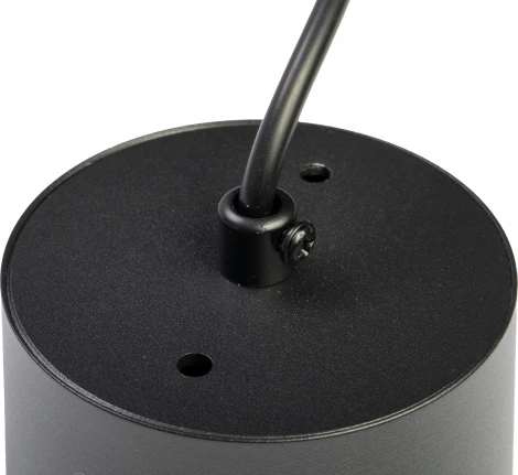 Подвесной светильник Ritter Arton 59983 8