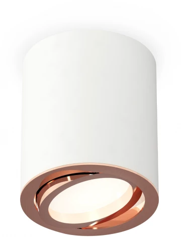 Накладной точечный светильник Ambrella Techno Spot XS7421004 (220V, круглые)