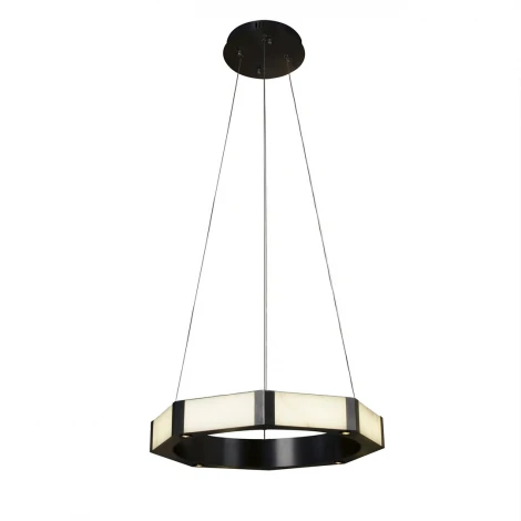 Подвесной светильник светодиодный кольцо Cloyd Bradis 11369 (220V, на тросе, кольцо)