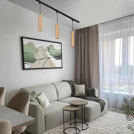 Трековый светильник однофазный Escada 20001 20001TRP/01 BR 1x50Вт GU10, металл, латунь матовая (220V, круглые)