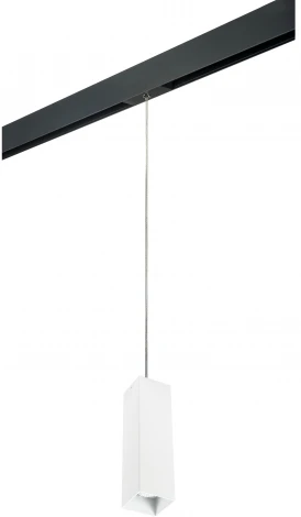 Трековый светильник однофазный 220V Lightstar Rullo PRORP6596