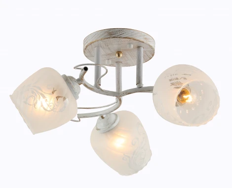 Потолочная люстра Rivoli Pelle 9008-303
