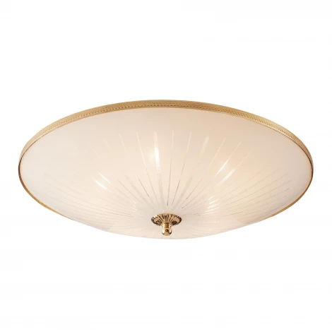 Потолочный светильник Citilux 912 CL912521