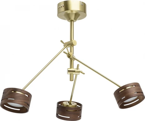 Потолочная люстра DeMarkt Чил-аут 725010203