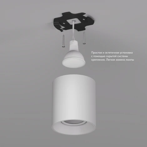 Накладной точечный светильник Denkirs DK3040-WH (220V, круглые)
