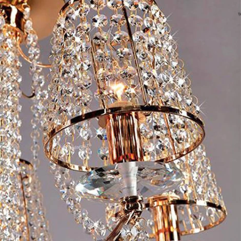 Bogate's Donna 242/5