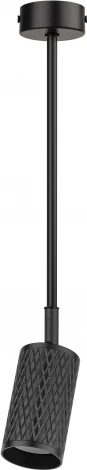Спот на штанге ЭРА OL45 BK (220V)
