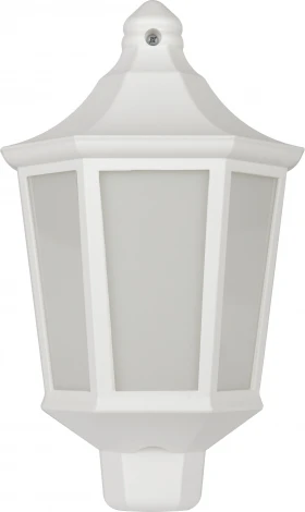 Настенный фонарь уличный ЭРА НБУ 06-60-003 У1 белый мат. (220V, IP44)