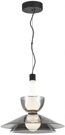 Подвесной светильник LED Aployt Daga APL.772.16.12 (220V, на тросе, шарики)