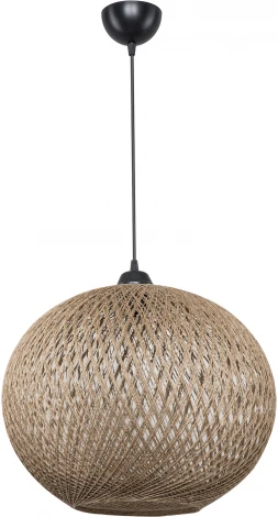 Подвесной светильник TopLight Lizbeth TL1612H-01BG